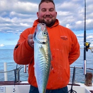 Mackeral Fishing Trip 2hrs Newquay